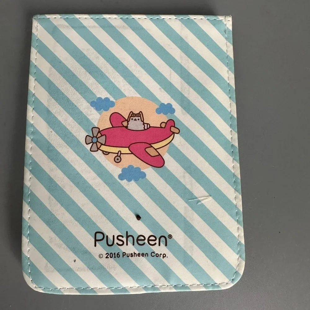 Pusheen while organized crafted